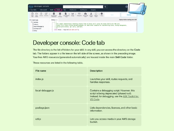 Page explaining the code tab in the developer console